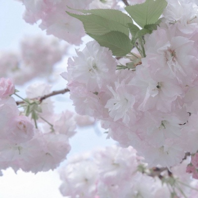 红原FurryQQ群介绍